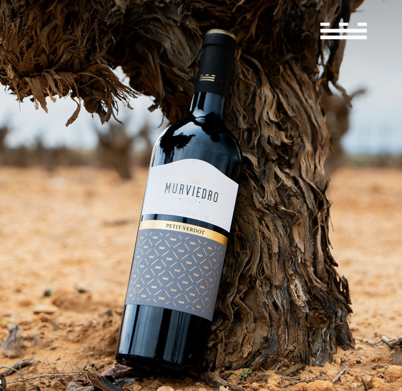 Inicio perfecto con vino Murviedro Petit Verdot, esencia Hoces del Cabriel.